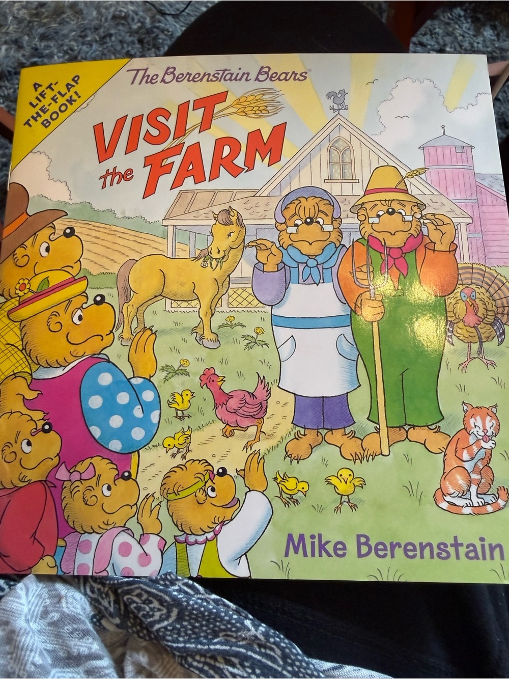 Vintage Illustrated Children’s paperback Book- Visit the Farm